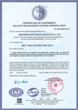 ISO 9001