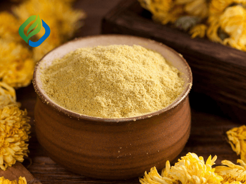 Chrysanthemum Extract