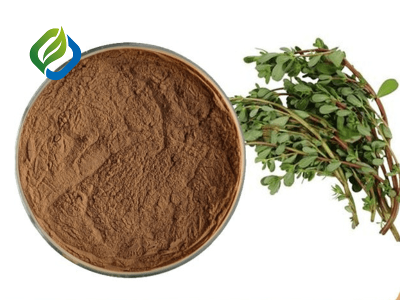 Portulaca Oleracea Extract