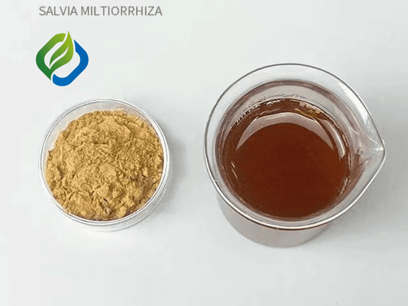 Salvia Miltiorrhiza Extract