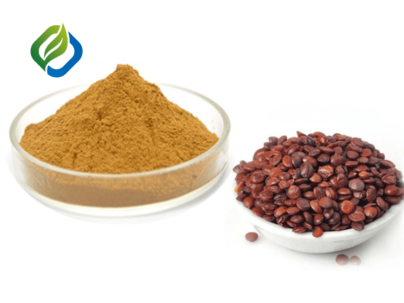 Jujube Seed Extract / Jujuba Extract