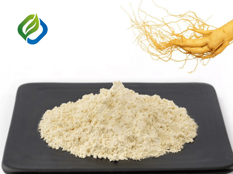 Panax Ginseng Extract